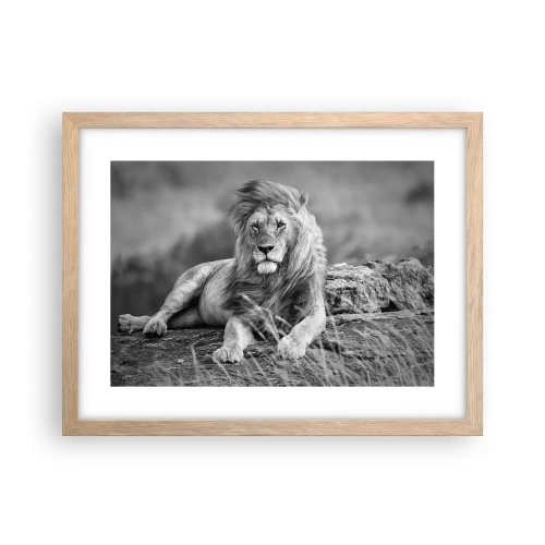 Plagát v ráme zo svetlého duba - Kráľovská siesta - 40x30 cm