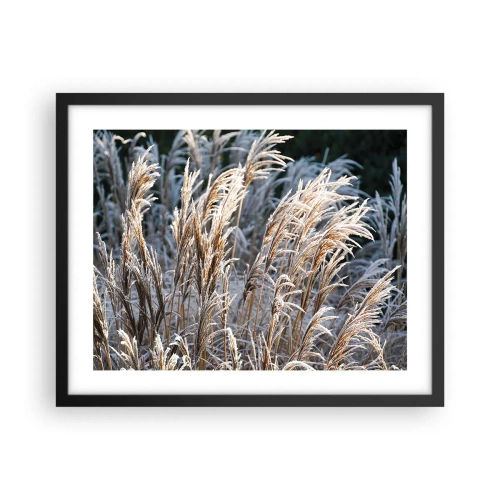 Plagát v čiernom ráme - Mrazom pokryté - 50x40 cm