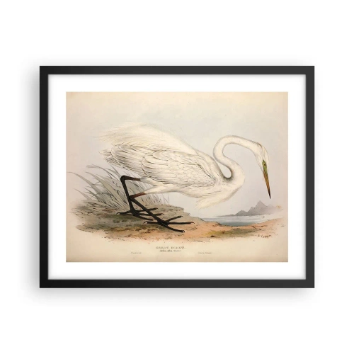 Plagát v čiernom ráme - Pani rákosín - 50x40 cm