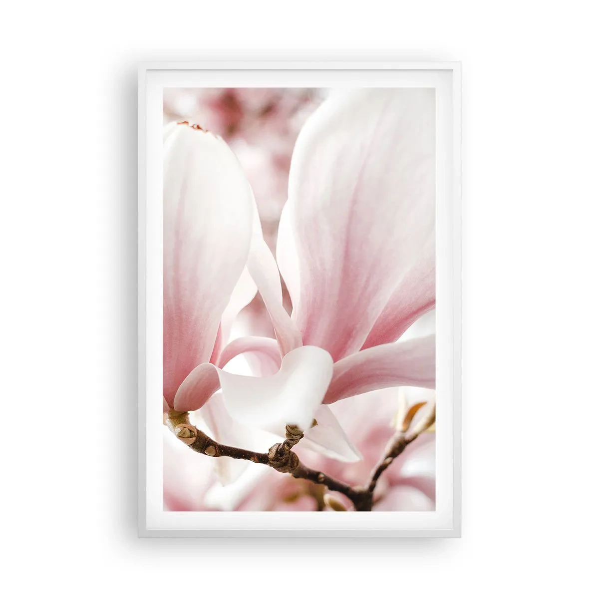 Plagát v bielom ráme - Nesmiernosť nežnosti - 61x91 cm