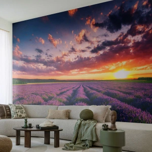 Fototapeta Premium Sand - Levanduľový svet - Krajina, Levanduľové pole, Levanduľa - 100x70 cm