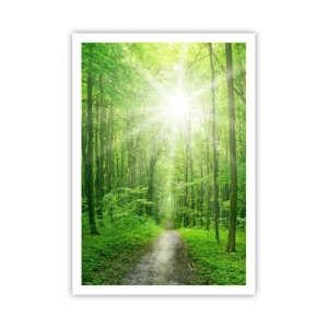 Plagát - Zelená katedrála - 70x100 cm