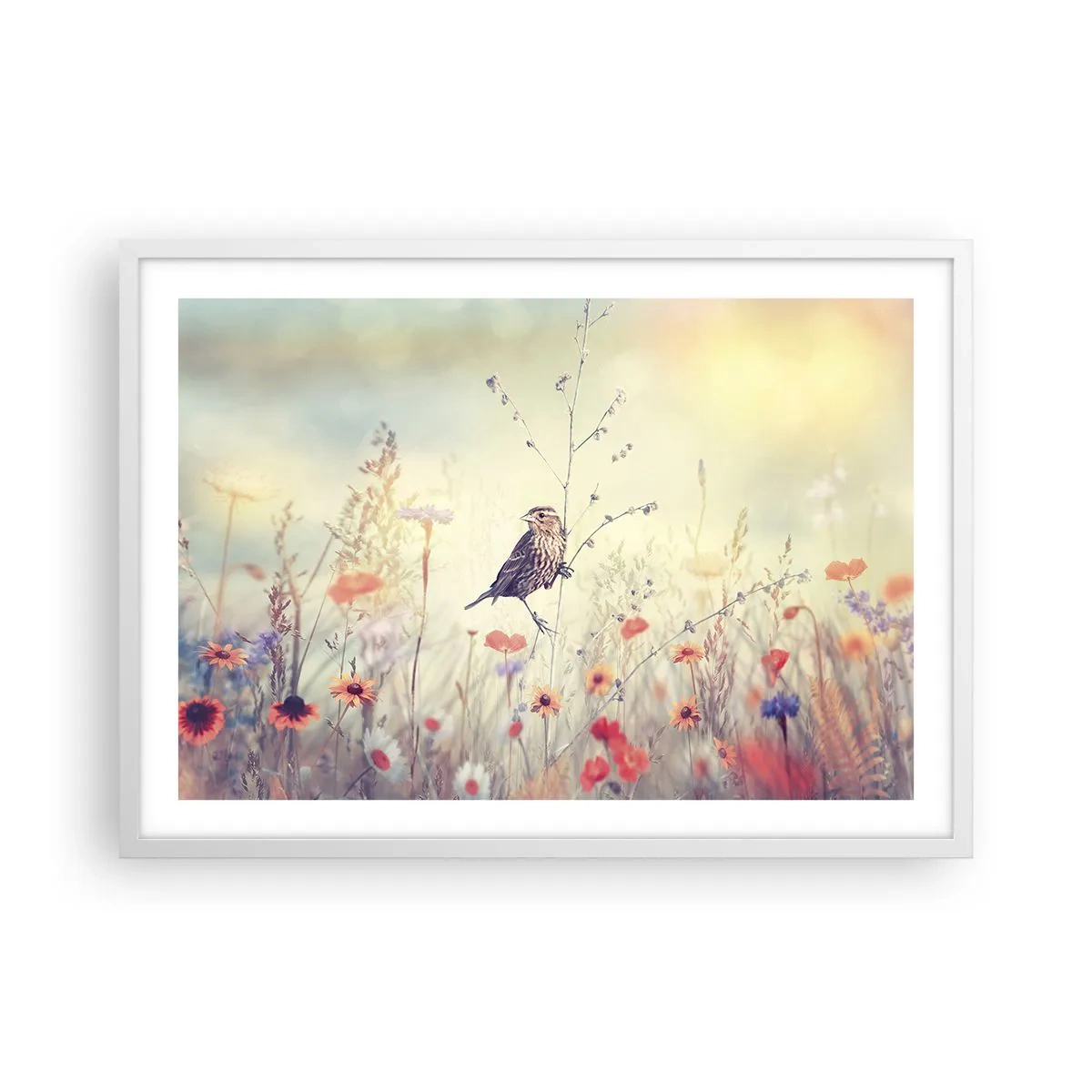 Plagát v bielom ráme - Portrét vtáka s lúkou v pozadí - 70x50 cm