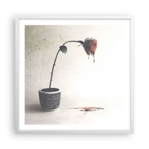 Plagát v bielom ráme - Rosa dolorosa - 60x60 cm