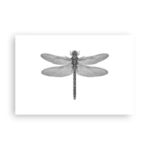 Plagát - Presnosť prírody - 91x61 cm