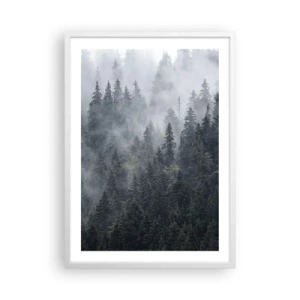 Plagát v bielom ráme - Lesné svitania - 50x70 cm