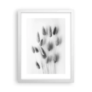 Plagát v bielom ráme - Našuchorená tráva - 30x40 cm