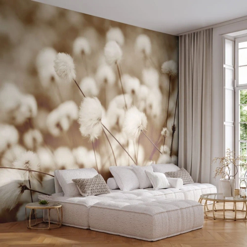 Samolepiaca Fototapeta Deluxe Sticker - Chlpatý lán - Bavlnený kvet, Kvetina, Bavlnená vetvička - 250x175 cm