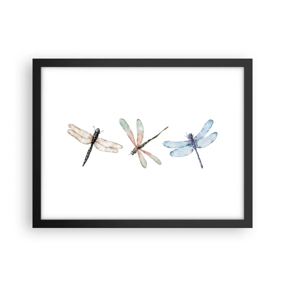 Plagát v čiernom ráme - Beztiažové vážky - 40x30 cm