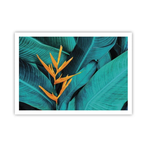 Plagát - Rajský kvet - 100x70 cm