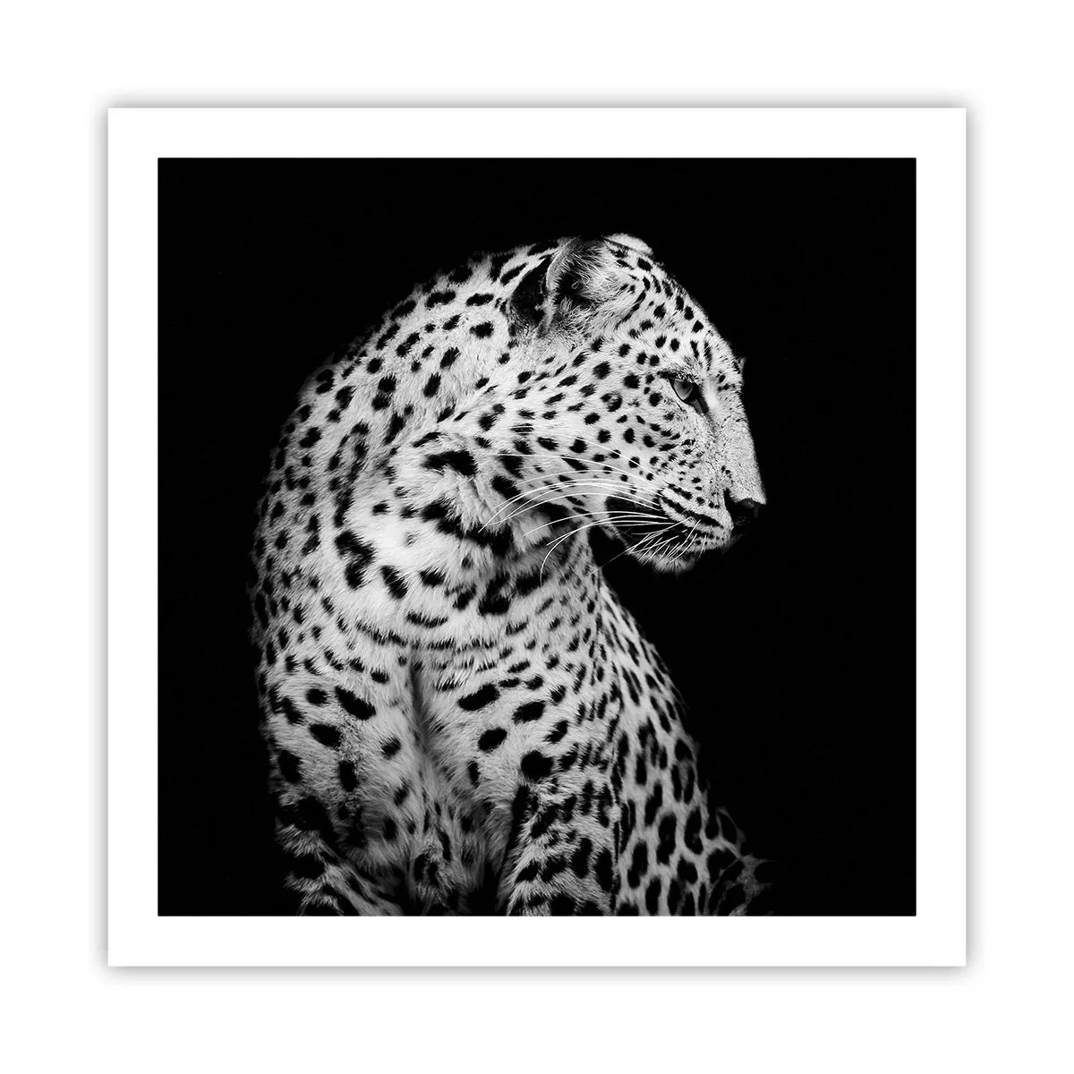 Plagát - Pravý profil perfektný! - 60x60 cm