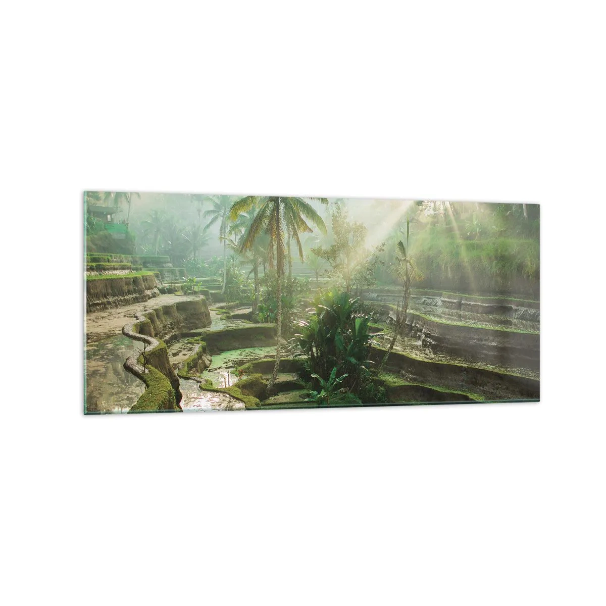 Obraz na skle - Vyrastať na slnku - 120x50 cm