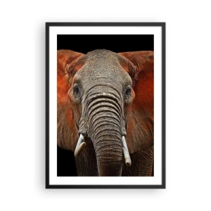 Plagát v čiernom ráme - Portrét majestátneho slona na čiernom pozadí - 50x70cm - Som divoký, a ty? - Moderná nástenná dekorácia do obývacej izby a spálne ARTTOR