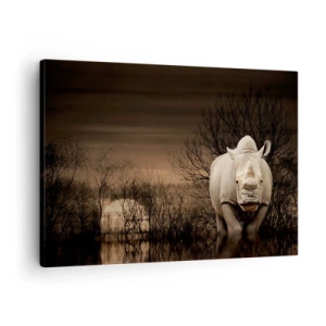 Obraz na plátne - Nosorožec medzi stromami pri západe slnka, divoká príroda. - 70x50cm - Biely proti prírode - Moderná nástenná dekorácia do obývacej izby a spálne ARTTOR