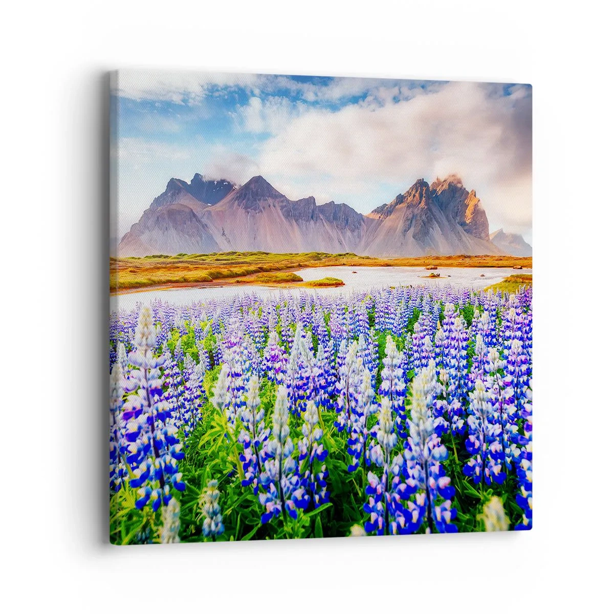 Obraz na plátne - Sila a prísnosť vedľa miernosti - 40x40 cm