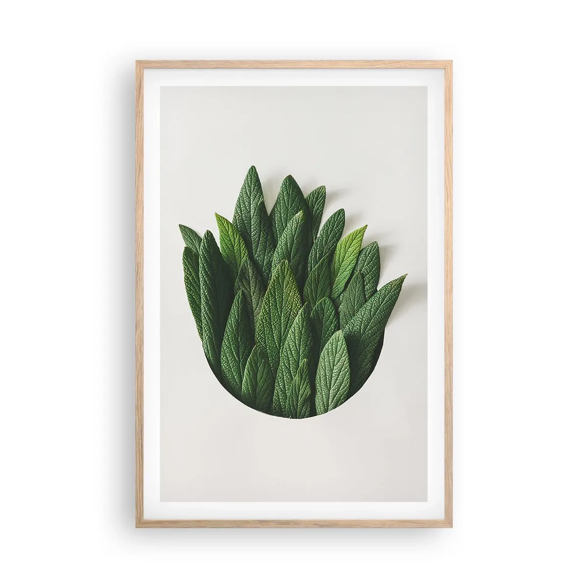 Plagát v ráme zo svetlého duba - Neukojiteľná zvedavosť - 61x91 cm