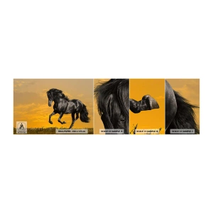 Vzorka samolepiacej fototapety Deluxe Sticker - Krásny, slobodný a divoký - Zvieratá, Kôň, Krajina - 100x30 cm