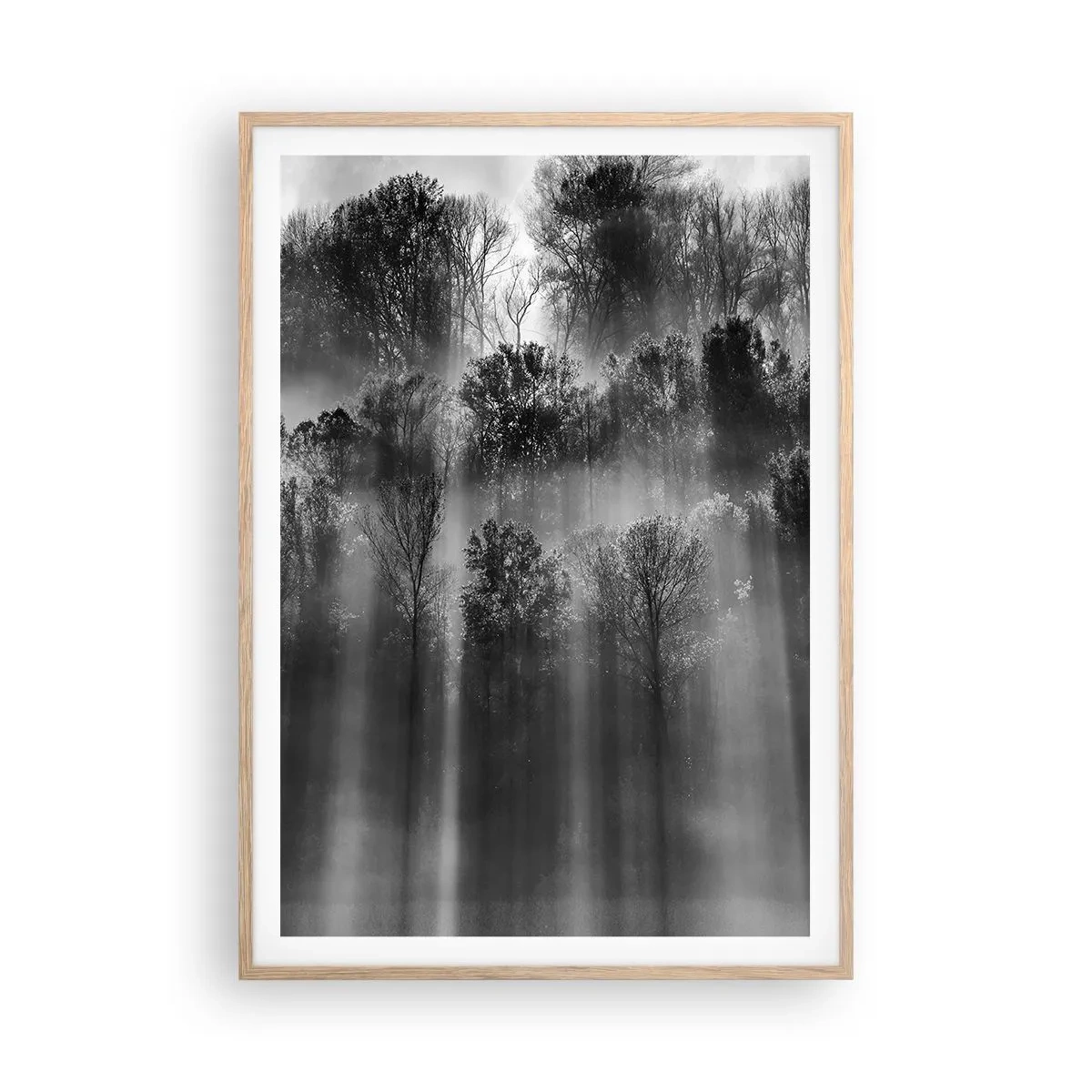 Plagát v ráme zo svetlého duba - V lúčoch svetla - 70x100 cm