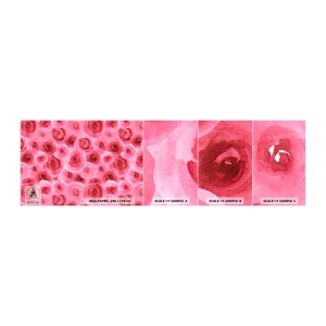 Vzorka samolepiacej fototapety Deluxe Sticker - Ruže dole aj hore - Kvety, Krása, Romantizmus - 100x30 cm