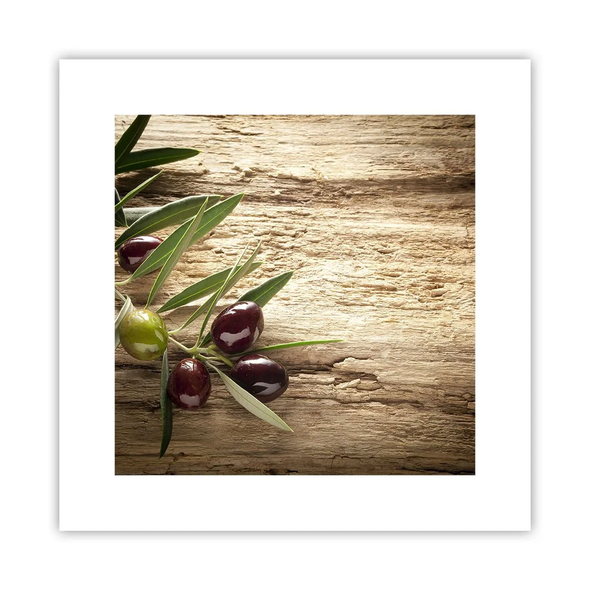 Plagát - Priamo od prírody - 30x30 cm