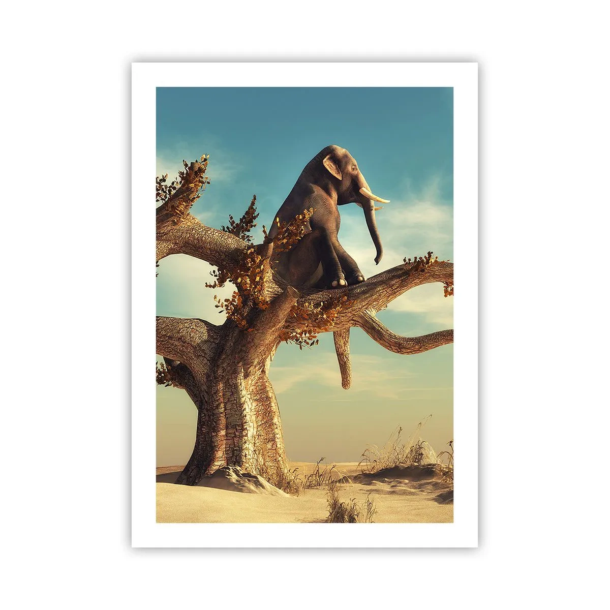 Plagát - Nový uhol pohľadu - 50x70 cm