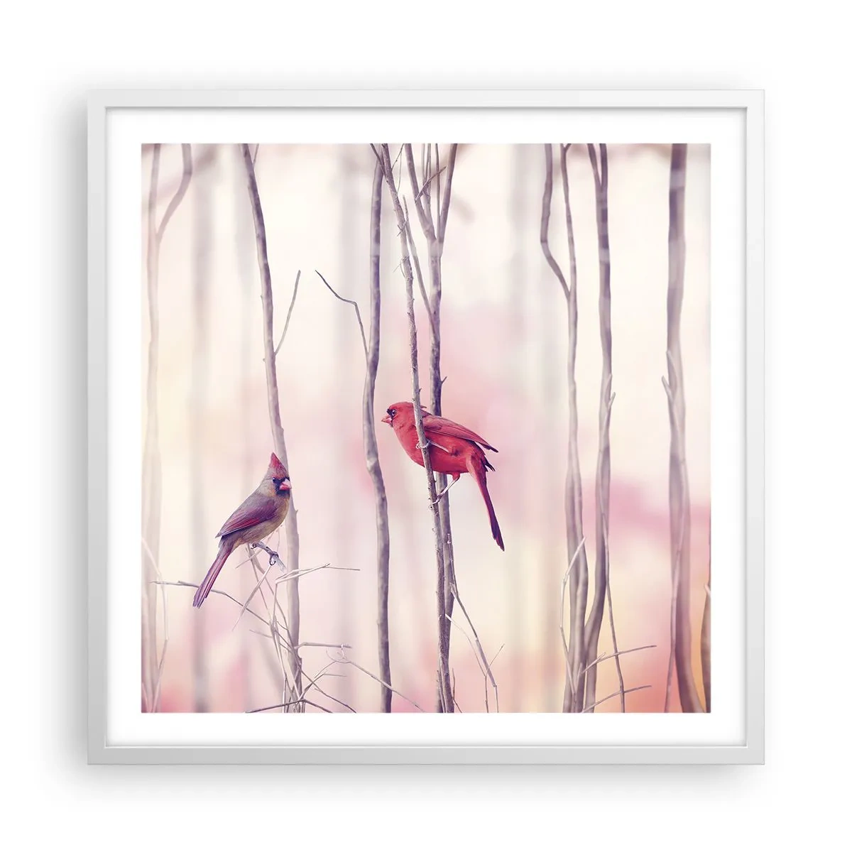 Plagát v bielom ráme - Príbeh ružového lesa - 60x60 cm
