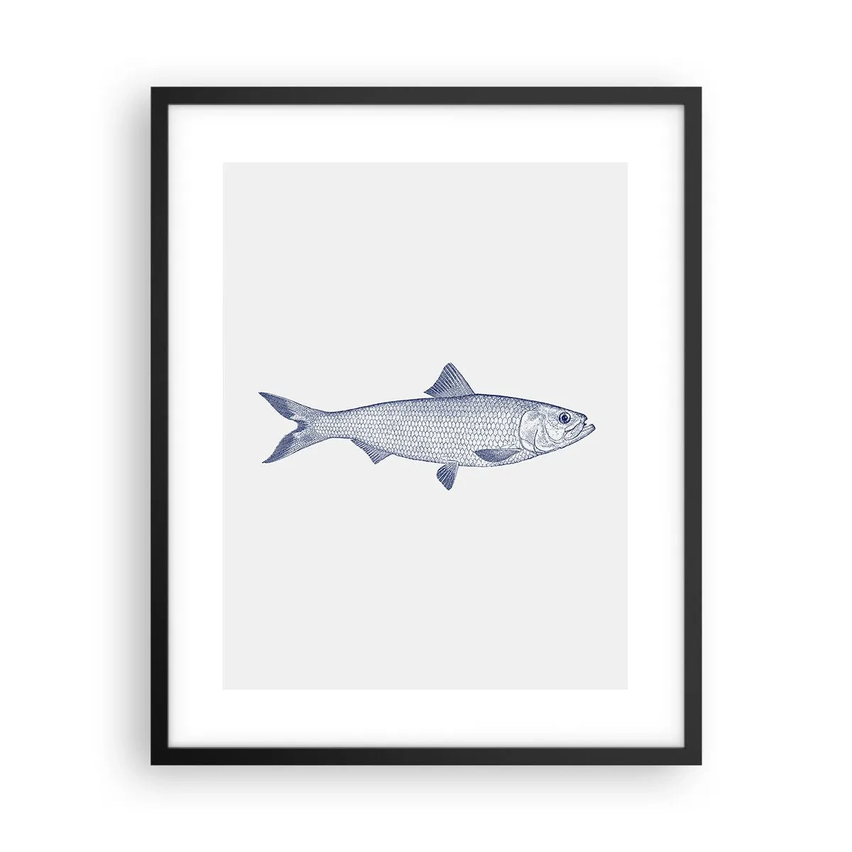 Plagát v čiernom ráme - Pozdravy zo severných morí - 40x50 cm