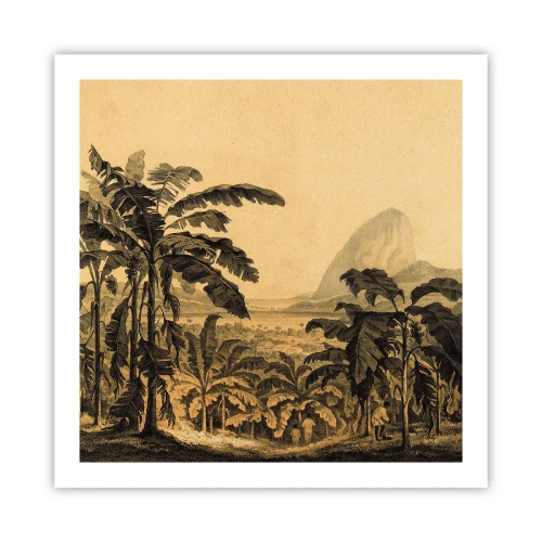 Plagát - V koloniálnom štýle - 60x60 cm