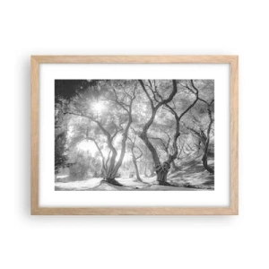 Plagát v ráme zo svetlého duba - V olivovom háji - 40x30 cm