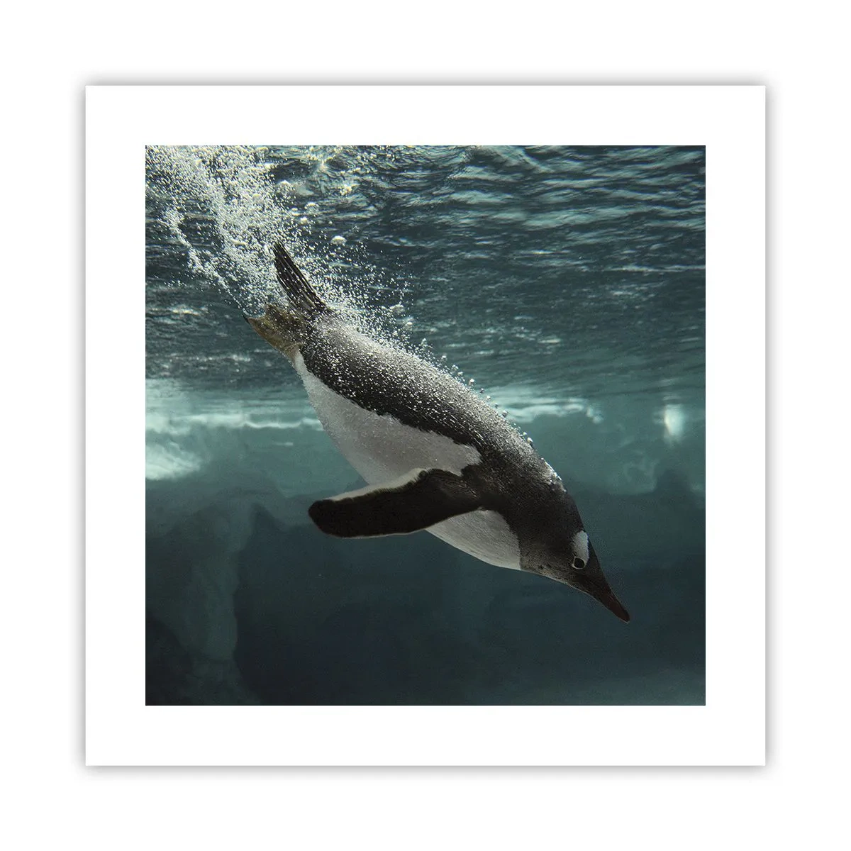 Plagát - Vitajte v mojom svete - 40x40 cm