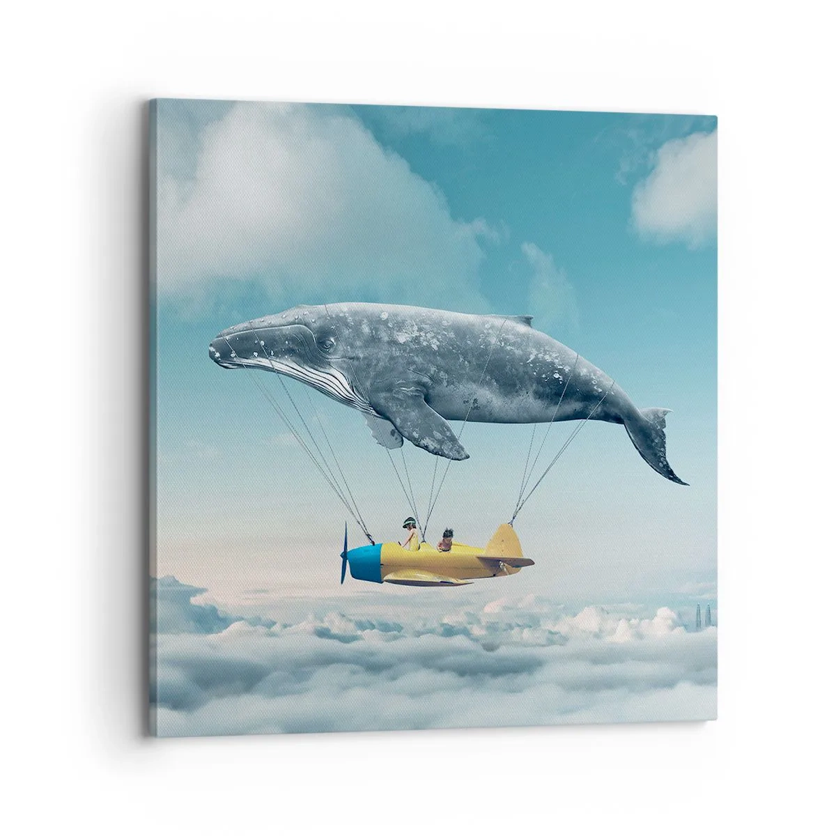 Obraz na plátne - Prečo by nie? - 70x70 cm