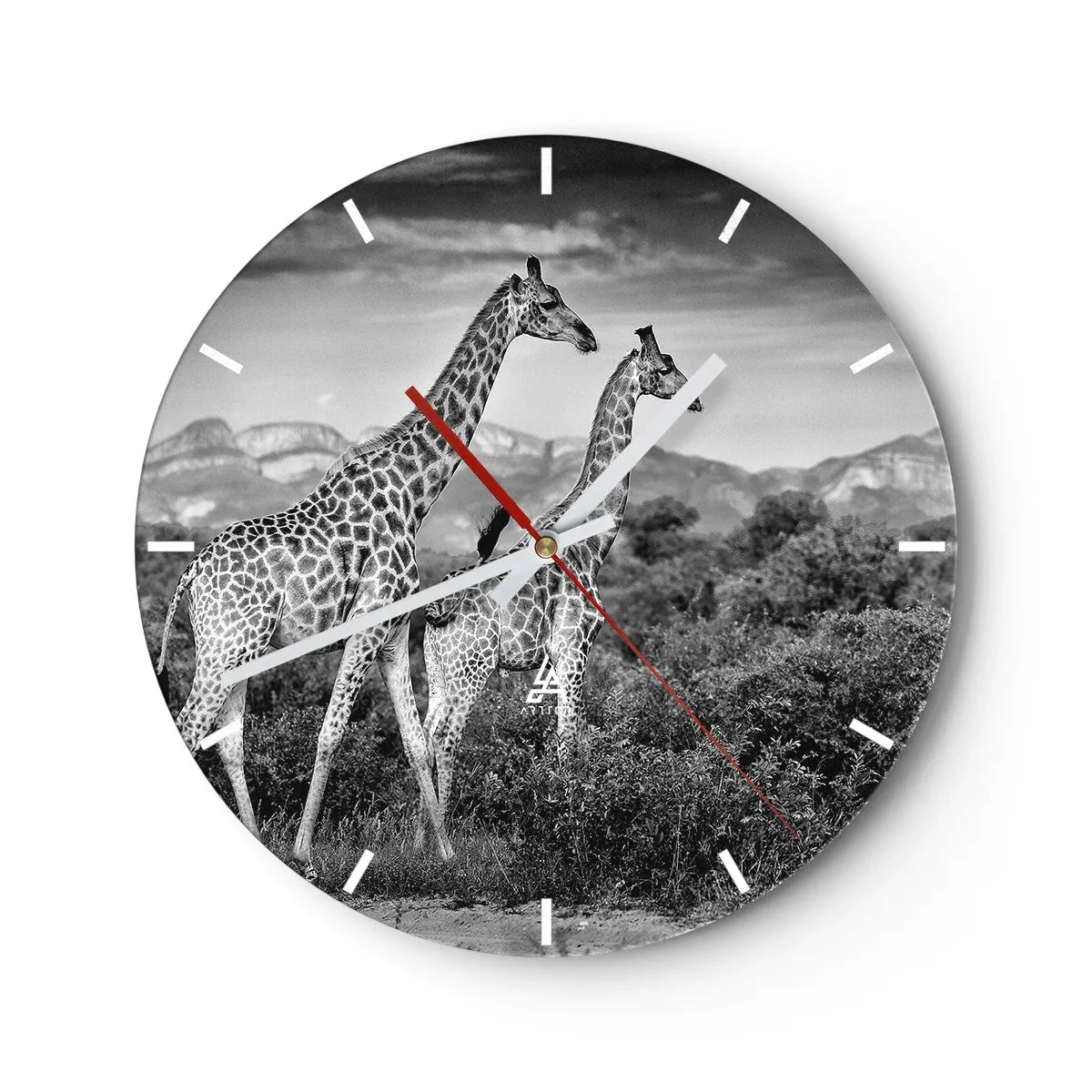 Nástenné hodiny - Čiernobiela fotografia dvoch žiráf v savane. - 30x30cm - Vyššie kruhy v Afrike - Moderná nástenná dekorácia do obývacej izby, kuchyne a spálne ARTTOR