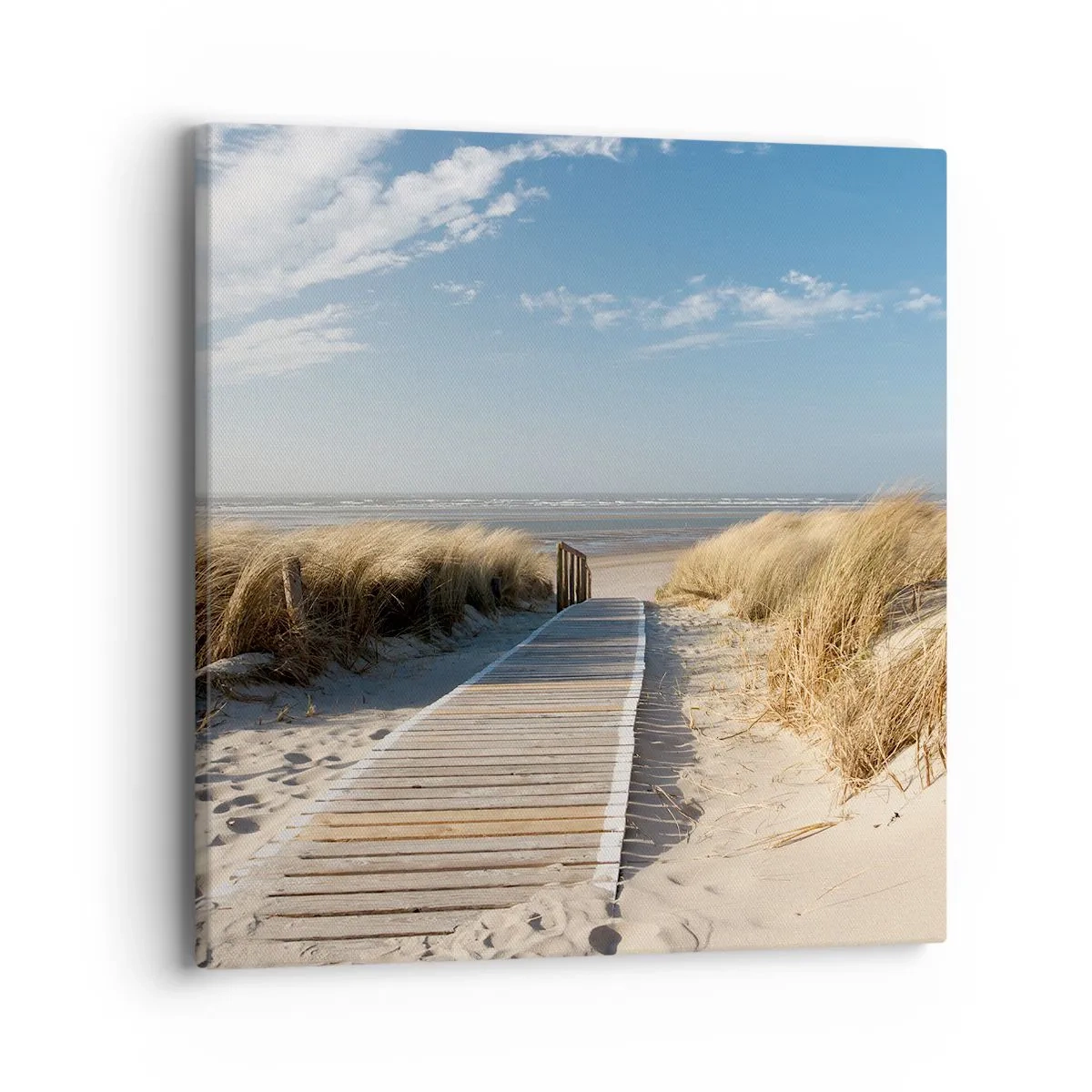 Obraz na plátne - Za dunou, v šumení trávy - 40x40 cm