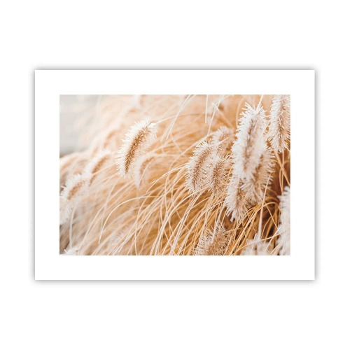 Plagát - Zlaté šušťanie tráv - 40x30 cm