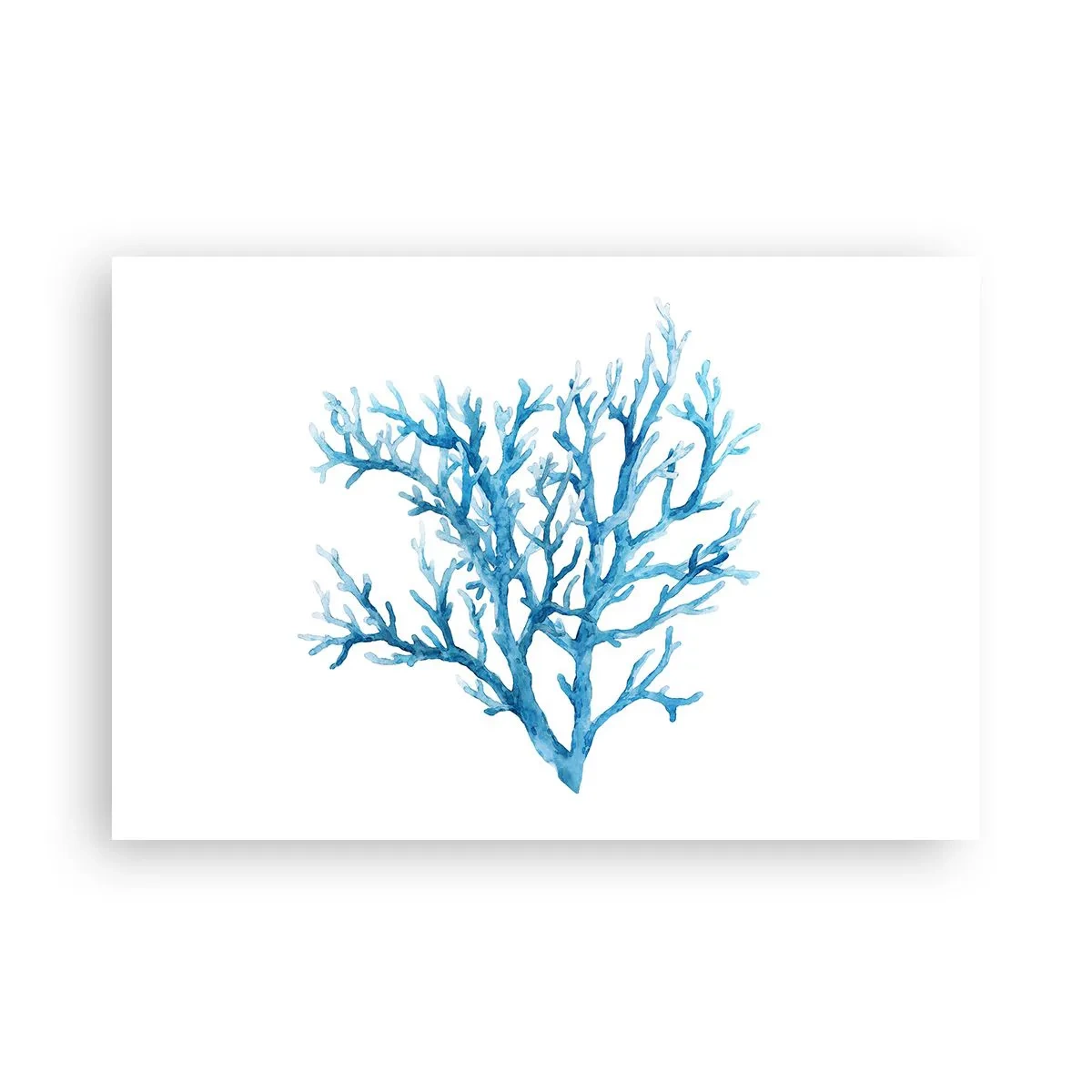 Plagát - Morský filigrán - 91x61 cm