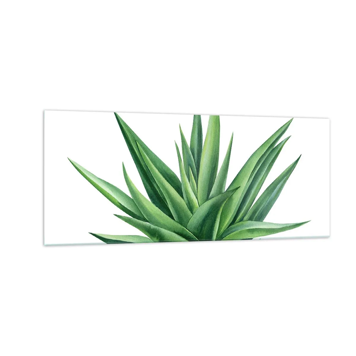 Obraz na skle - Zelená – sila – život - 100x40 cm