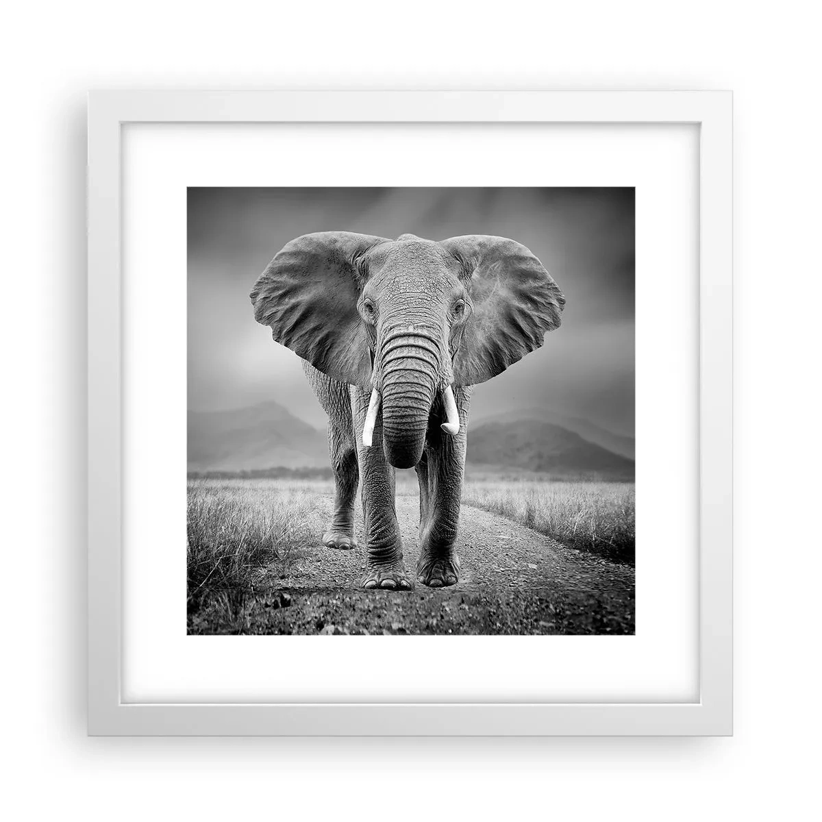 Plagát v bielom ráme - Hostiteľ víta - 30x30 cm