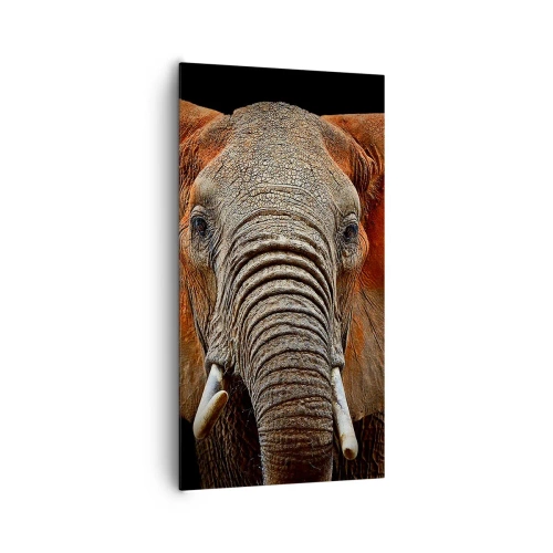 Obraz na plátne - Som divoký, a ty? - 65x120 cm