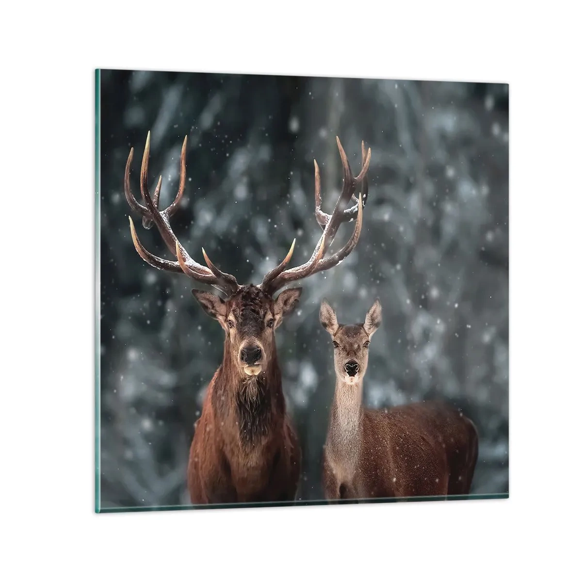 Obraz na skle - Pán lesa so svojou ženou - 30x30 cm