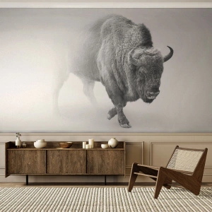 Fototapeta Premium Sand - Kráľ prérie - Wisent, Zvieratá, Bison - 100x70 cm