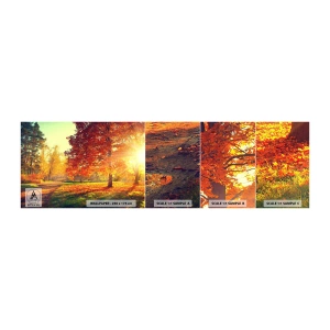 Vzorka samolepiacej fototapety Deluxe Sticker - Červené je krásne - Krajina, Park, Príroda - 100x30 cm