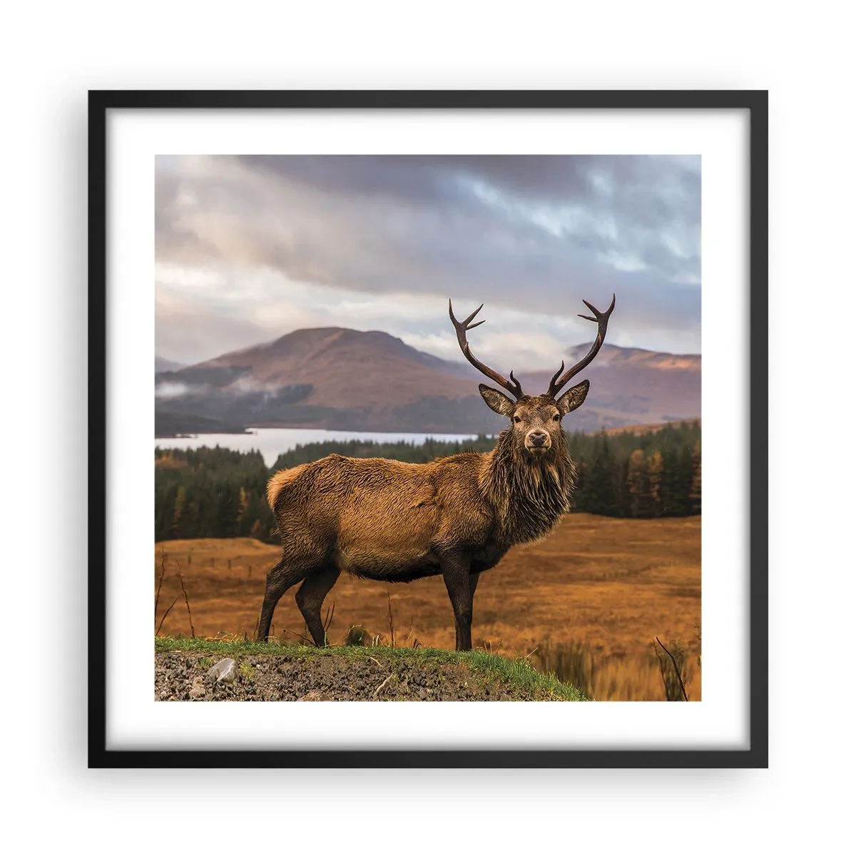 Plagát v čiernom ráme - Majestát prírody - 50x50 cm