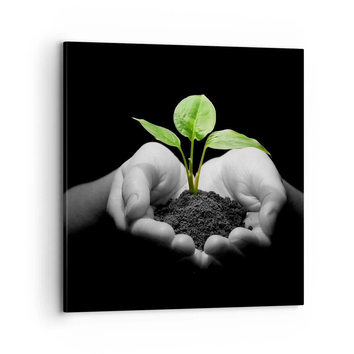 Obraz na plátne - Milujem prírodu, chránim ju - 70x70 cm