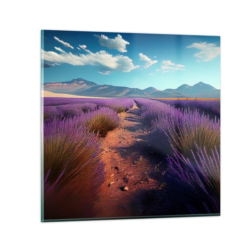 Obraz na skle - Voňavé polia - 60x60 cm