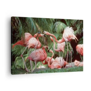 Obraz na plátne - Skupina plameniakov v tropickom prostredí obklopená palmami - 70x50cm - Popoludňajšie klebety - Moderná nástenná dekorácia do obývacej izby a spálne ARTTOR
