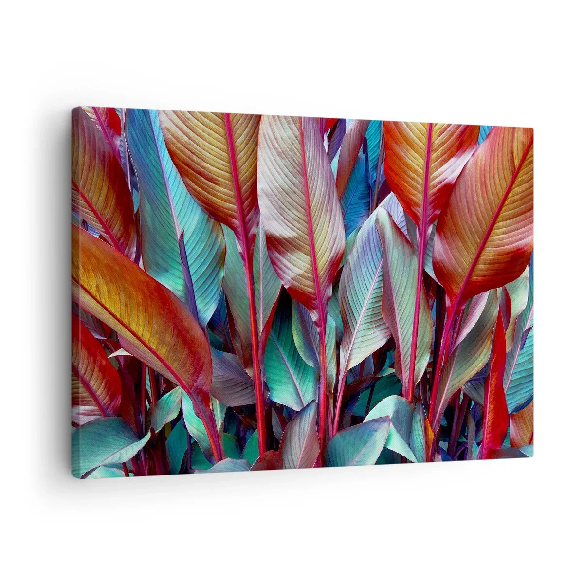 Obraz na plátne - Farebné listy tropických rastlín v húštine - 70x50cm - Farebná húština - Moderná nástenná dekorácia do obývacej izby a spálne ARTTOR