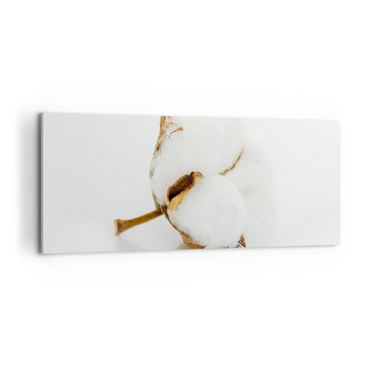 Obraz na plátne - Mäkká od prírody - 120x50 cm