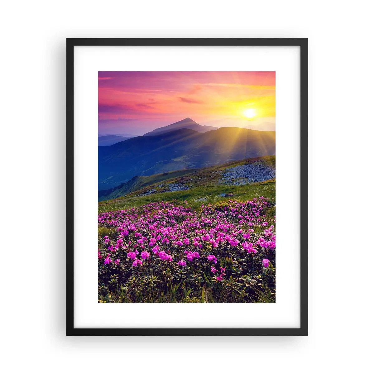 Plagát v čiernom ráme - …A okolo vonia kosodrevina a voňajú byliny - 40x50 cm