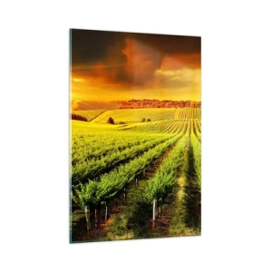 Obraz na skle - Pod austrálskym slnkom - 80x120 cm