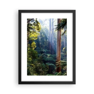 Plagát v čiernom ráme - Poviedka lesa - 30x40 cm